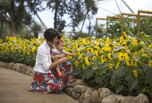 Woman and baby looking at sunflowers in the Mediterranean Biome